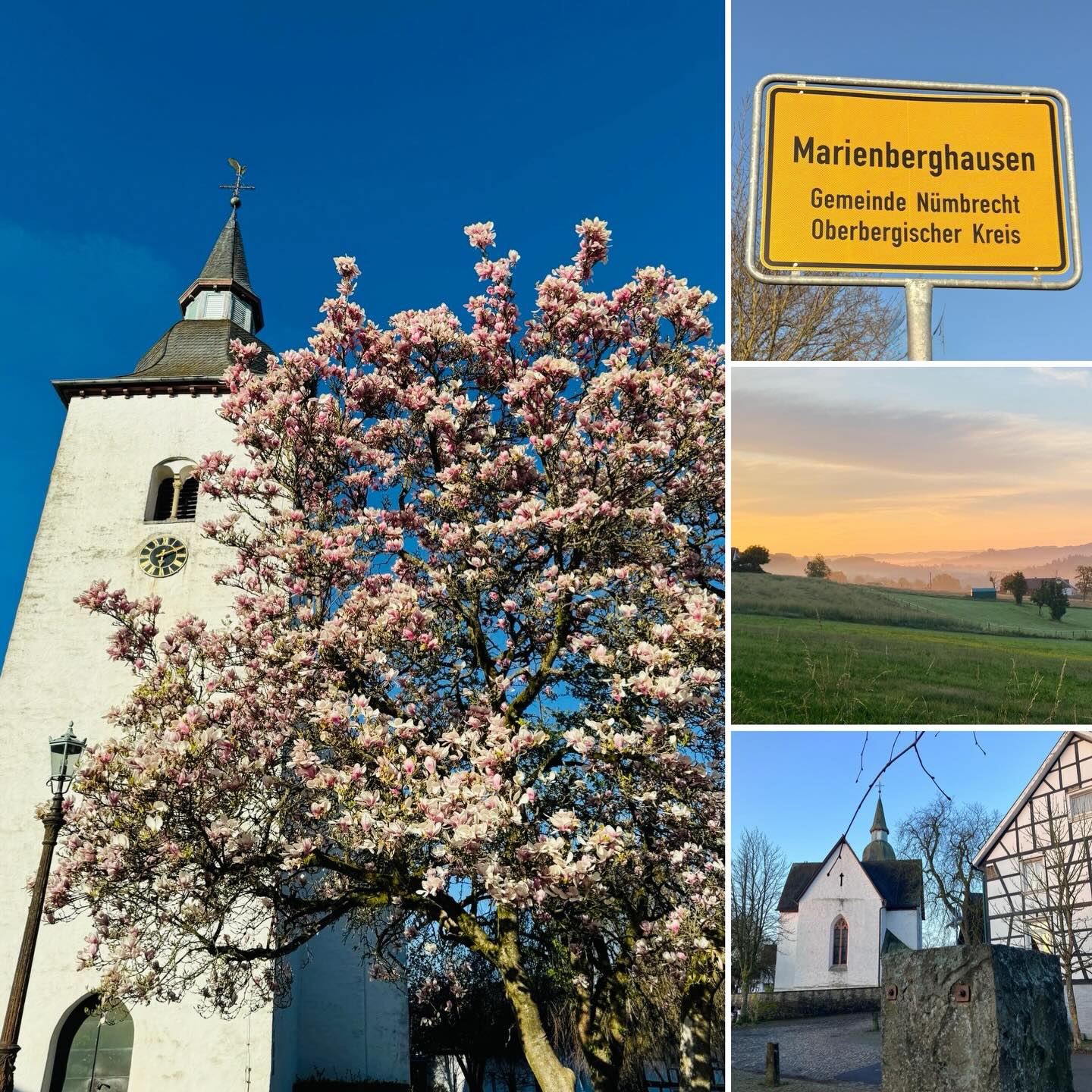 Tadaaa🥳 – wir sind jetzt auch auf Instagram!
Heimatliebe❤️ trifft Social Media: Ab sofort zeigen wir euch, was bei uns im Verein so los ist – von Tradition bis Teamgeist, von Dorfleben bis Lieblingsmomenten.
Bleibt dran, kommentiert, teilt, lacht mit uns… wir freuen uns auf euch! Und wir freuen uns, auf alles, was hier noch gemeinsam wachsen darf…