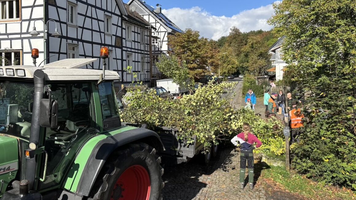 Arbeitseinsatz Herbst