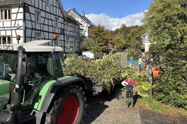 Arbeitseinsatz Herbst