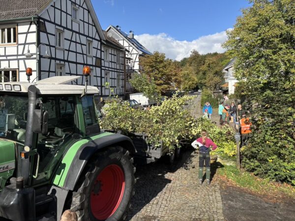 Arbeitseinsatz Herbst